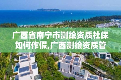 廣西省南寧市測繪資質社保如何作假,廣西測繪資質管理系統