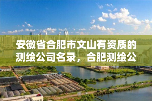 安徽省合肥市文山有資質的測繪公司名錄，合肥測繪公司有哪些