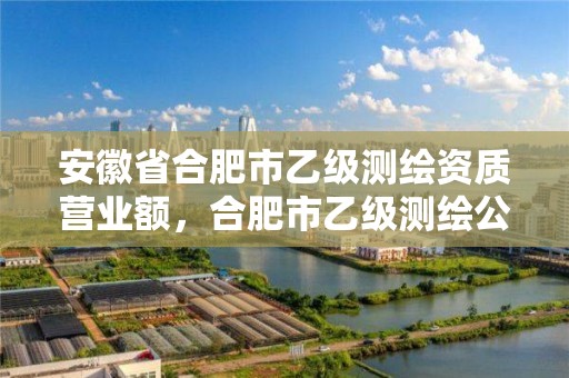 安徽省合肥市乙級測繪資質營業額，合肥市乙級測繪公司