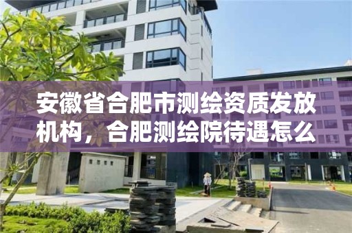 安徽省合肥市測繪資質發放機構，合肥測繪院待遇怎么樣