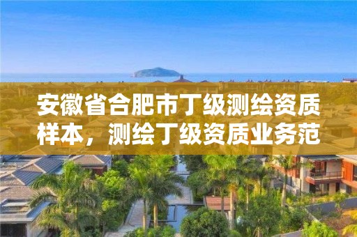 安徽省合肥市丁級測繪資質(zhì)樣本，測繪丁級資質(zhì)業(yè)務(wù)范圍