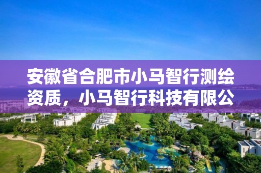 安徽省合肥市小馬智行測繪資質(zhì)，小馬智行科技有限公司面試