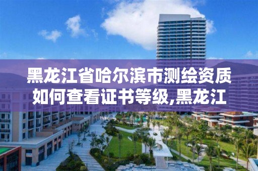 黑龍江省哈爾濱市測繪資質如何查看證書等級,黑龍江測繪公司乙級資質