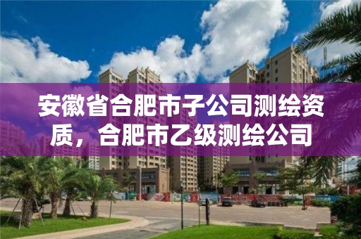 安徽省合肥市子公司測(cè)繪資質(zhì)，合肥市乙級(jí)測(cè)繪公司