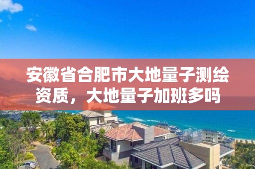 安徽省合肥市大地量子測繪資質，大地量子加班多嗎