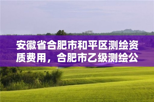 安徽省合肥市和平區測繪資質費用，合肥市乙級測繪公司