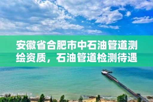 安徽省合肥市中石油管道測繪資質，石油管道檢測待遇