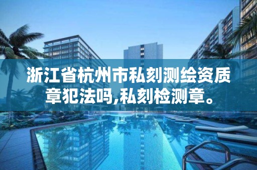 浙江省杭州市私刻測繪資質章犯法嗎,私刻檢測章。