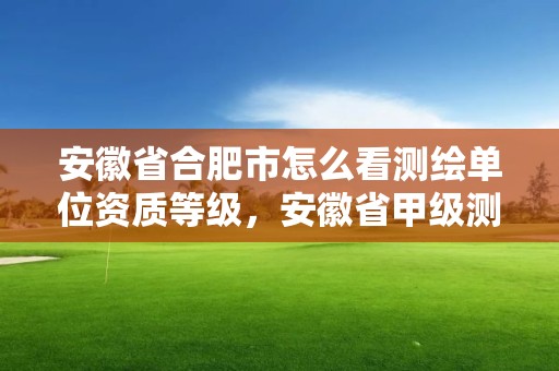 安徽省合肥市怎么看測繪單位資質等級，安徽省甲級測繪資質單位