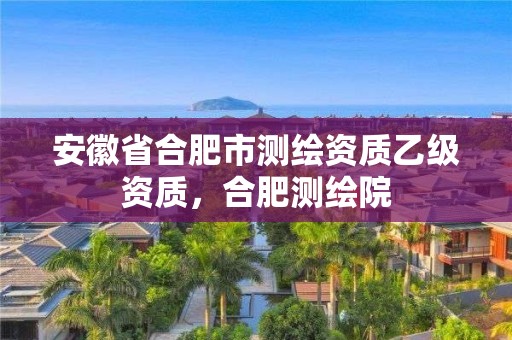 安徽省合肥市測(cè)繪資質(zhì)乙級(jí)資質(zhì)，合肥測(cè)繪院