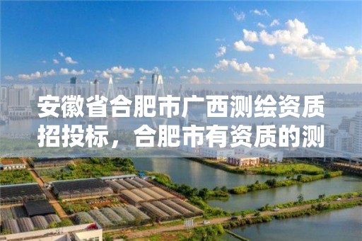 安徽省合肥市廣西測繪資質(zhì)招投標(biāo)，合肥市有資質(zhì)的測繪公司