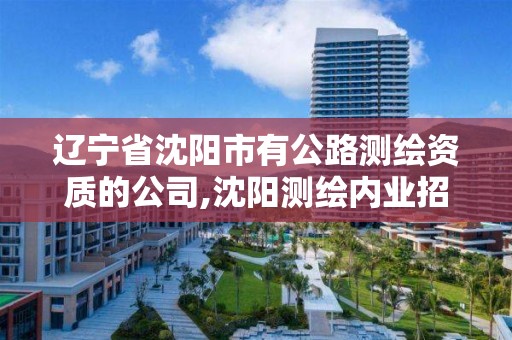 遼寧省沈陽市有公路測繪資質的公司,沈陽測繪內業招聘。