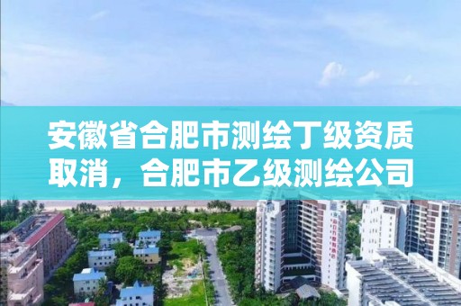 安徽省合肥市測繪丁級資質取消，合肥市乙級測繪公司