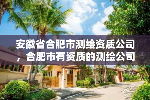 安徽省合肥市測繪資質(zhì)公司，合肥市有資質(zhì)的測繪公司