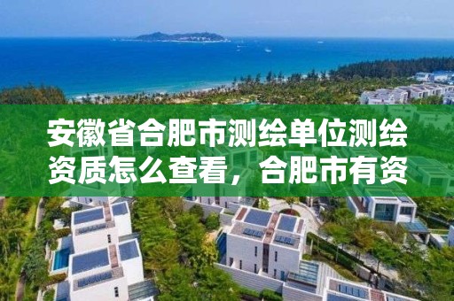 安徽省合肥市測繪單位測繪資質怎么查看，合肥市有資質的測繪公司