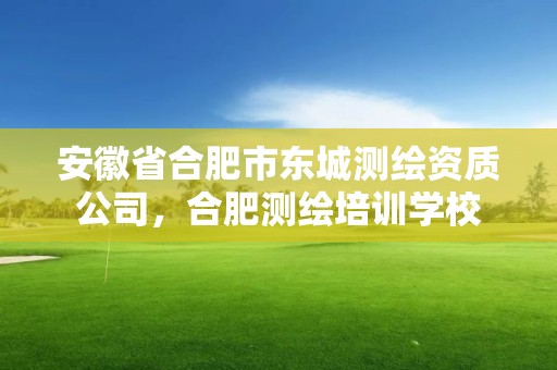 安徽省合肥市東城測繪資質(zhì)公司，合肥測繪培訓(xùn)學(xué)校