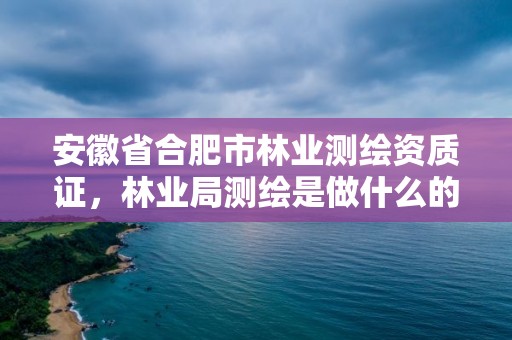 安徽省合肥市林業測繪資質證，林業局測繪是做什么的