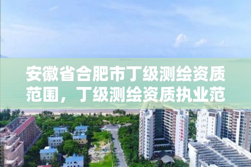 安徽省合肥市丁級測繪資質范圍，丁級測繪資質執業范圍