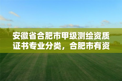 安徽省合肥市甲級測繪資質證書專業分類，合肥市有資質的測繪公司