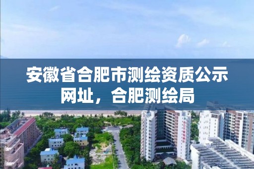 安徽省合肥市測繪資質公示網址，合肥測繪局