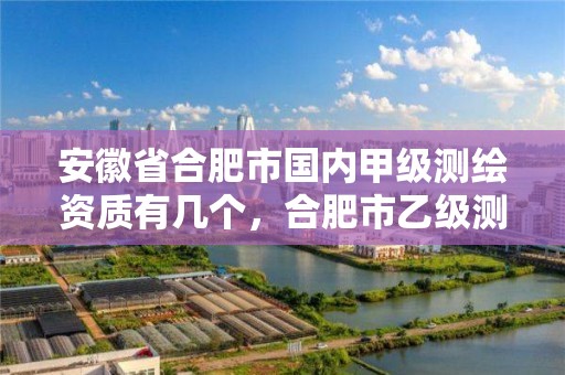 安徽省合肥市國內甲級測繪資質有幾個，合肥市乙級測繪公司