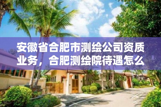 安徽省合肥市測(cè)繪公司資質(zhì)業(yè)務(wù)，合肥測(cè)繪院待遇怎么樣