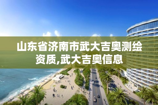 山東省濟南市武大吉奧測繪資質,武大吉奧信息