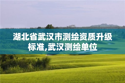 湖北省武漢市測繪資質(zhì)升級標準,武漢測繪單位