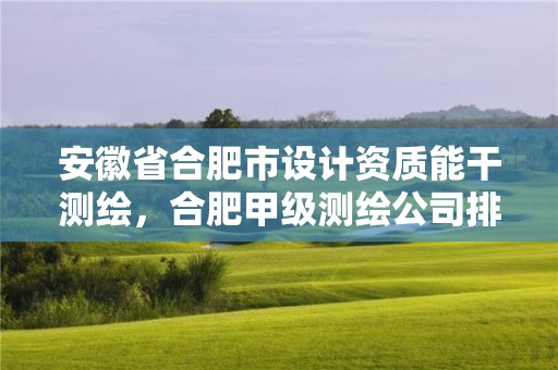 安徽省合肥市設計資質能干測繪，合肥甲級測繪公司排行