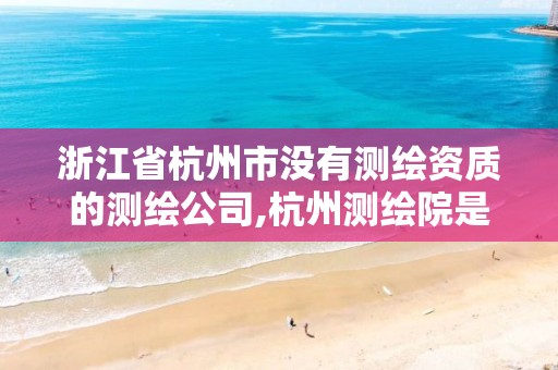 浙江省杭州市沒有測繪資質的測繪公司,杭州測繪院是什么單位