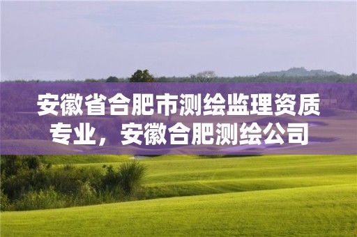 安徽省合肥市測繪監(jiān)理資質(zhì)專業(yè)，安徽合肥測繪公司