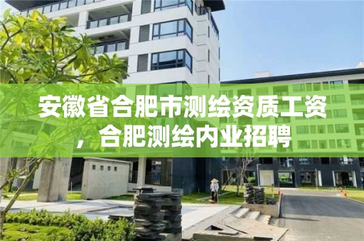 安徽省合肥市測繪資質工資，合肥測繪內業招聘