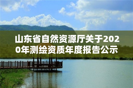 山東省自然資源廳關于2020年測繪資質年度報告公示情況的公告