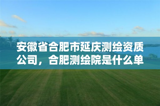 安徽省合肥市延慶測(cè)繪資質(zhì)公司，合肥測(cè)繪院是什么單位