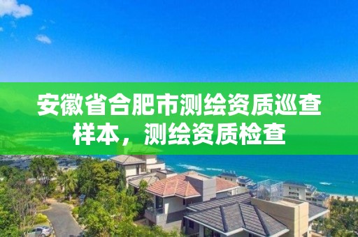 安徽省合肥市測繪資質巡查樣本，測繪資質檢查