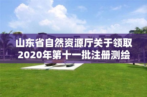 山東省自然資源廳關(guān)于領(lǐng)取2020年第十一批注冊測繪師證章的公告