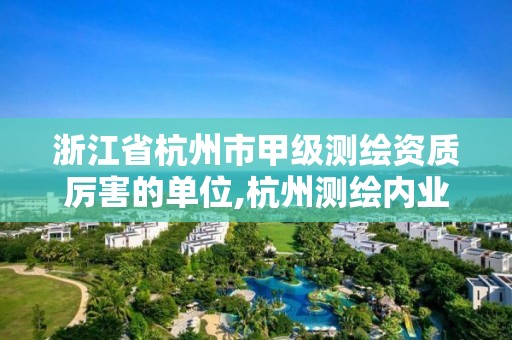 浙江省杭州市甲級測繪資質厲害的單位,杭州測繪內業招聘信息2020。