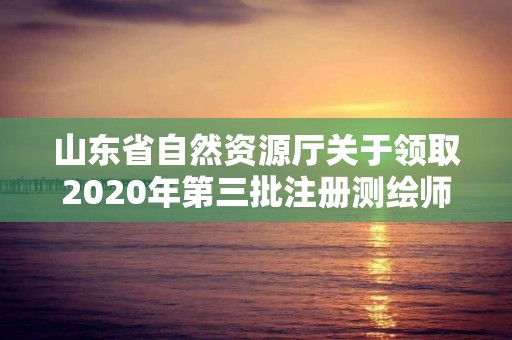 山東省自然資源廳關(guān)于領(lǐng)取2020年第三批注冊測繪師證章的公告