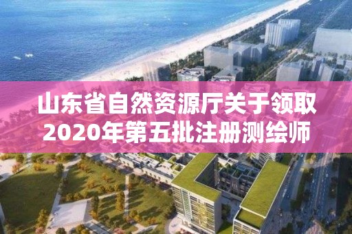 山東省自然資源廳關于領取2020年第五批注冊測繪師證章的公告