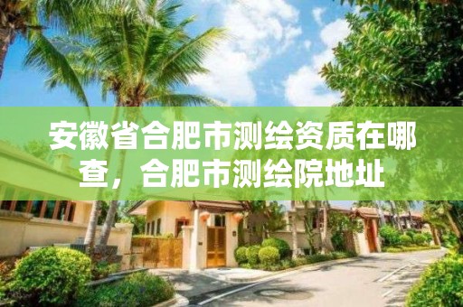 安徽省合肥市測繪資質在哪查，合肥市測繪院地址