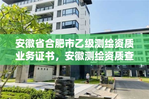 安徽省合肥市乙級(jí)測(cè)繪資質(zhì)業(yè)務(wù)證書，安徽測(cè)繪資質(zhì)查詢系統(tǒng)