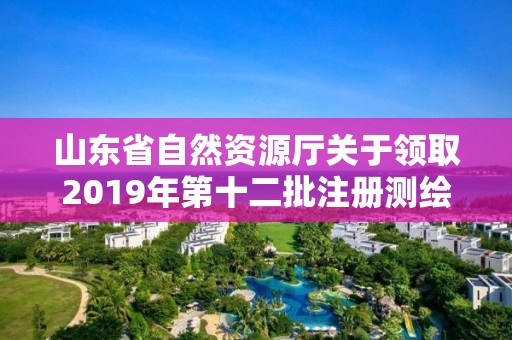 山東省自然資源廳關于領取2019年第十二批注冊測繪師證章的公告