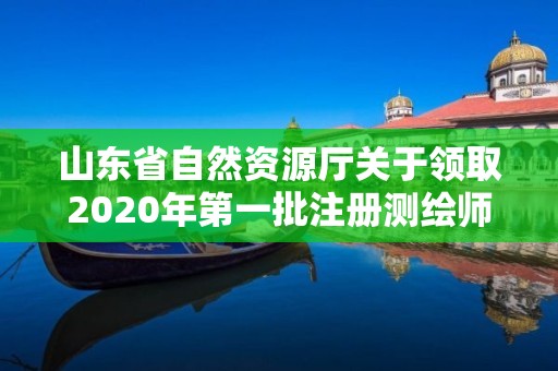 山東省自然資源廳關于領取2020年第一批注冊測繪師證章的公告