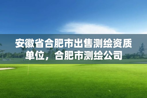 安徽省合肥市出售測繪資質單位，合肥市測繪公司