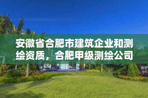 安徽省合肥市建筑企業和測繪資質，合肥甲級測繪公司排行