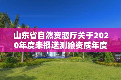 山東省自然資源廳關于2020年度未報送測繪資質年度報告單位及處理意見的通報