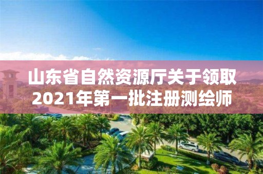 山東省自然資源廳關于領取2021年第一批注冊測繪師證章的公告