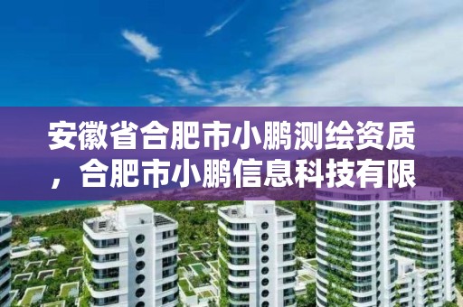 安徽省合肥市小鵬測繪資質(zhì)，合肥市小鵬信息科技有限公司