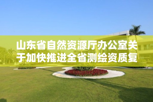 山東省自然資源廳辦公室關于加快推進全省測繪資質復審換證工作的通知