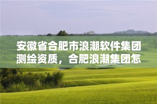 安徽省合肥市浪潮軟件集團測繪資質(zhì)，合肥浪潮集團怎么樣